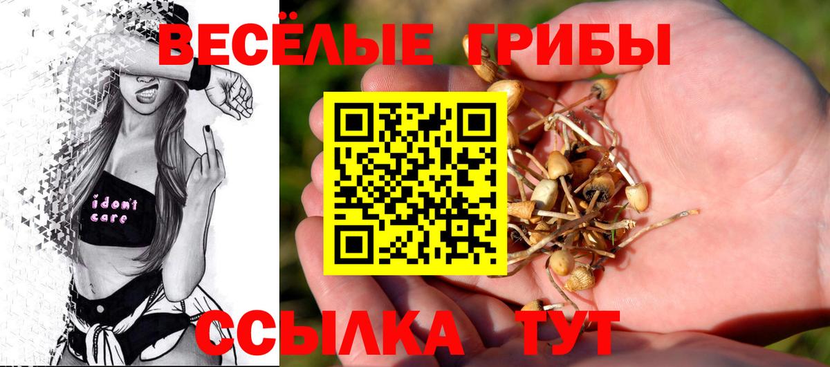 Псилоцибиновые грибы мицелий  Вход с VPN  Аша 